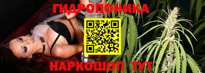 каннабис Новодвинск