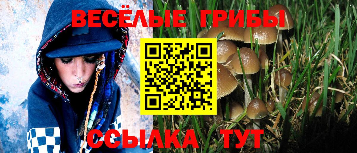 Галлюциногенные грибы MAGIC MUSHROOMS Павлово