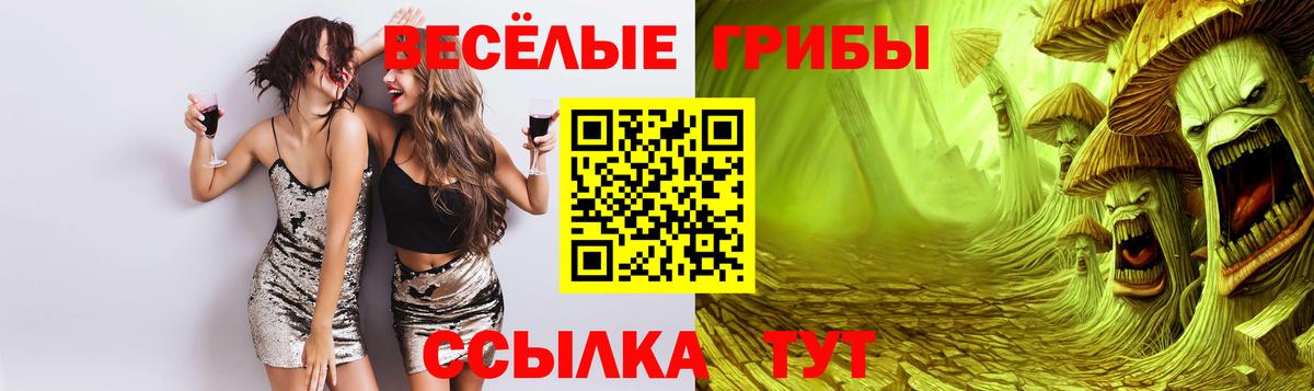 Галлюциногенные грибы GOLDEN TEACHER  Вход с VPN  Павлово 